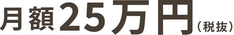 月額25万円（税抜）/1ヵ月