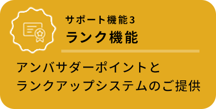 サポート機能3、ランク機能